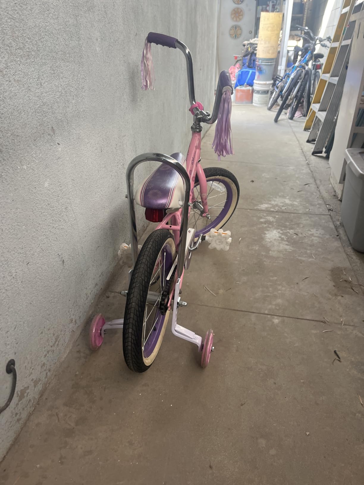 DDJKCZ Training Wheels,Compatible for Bikes of 12 14 16 18 20 Inch | thicken,Newly upgraded,safe and durable,with a sturdy appearance,Flash Mute Wheel,Suitable for 12/14/16/18/20 inch bicks customer photo 1