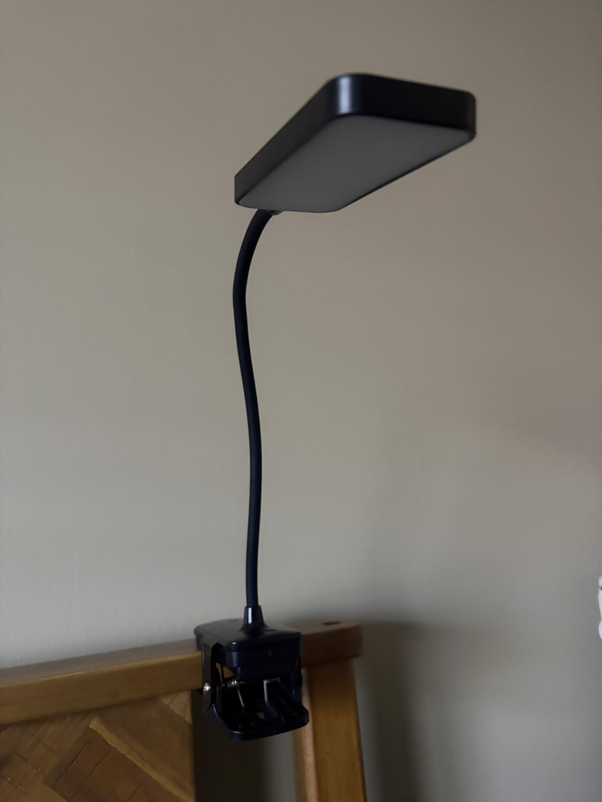 Pink Desk Lamp for Dorm Lamp, 9 Brightness+5 Color Clip on Light, Cute Lamp customer photo 2