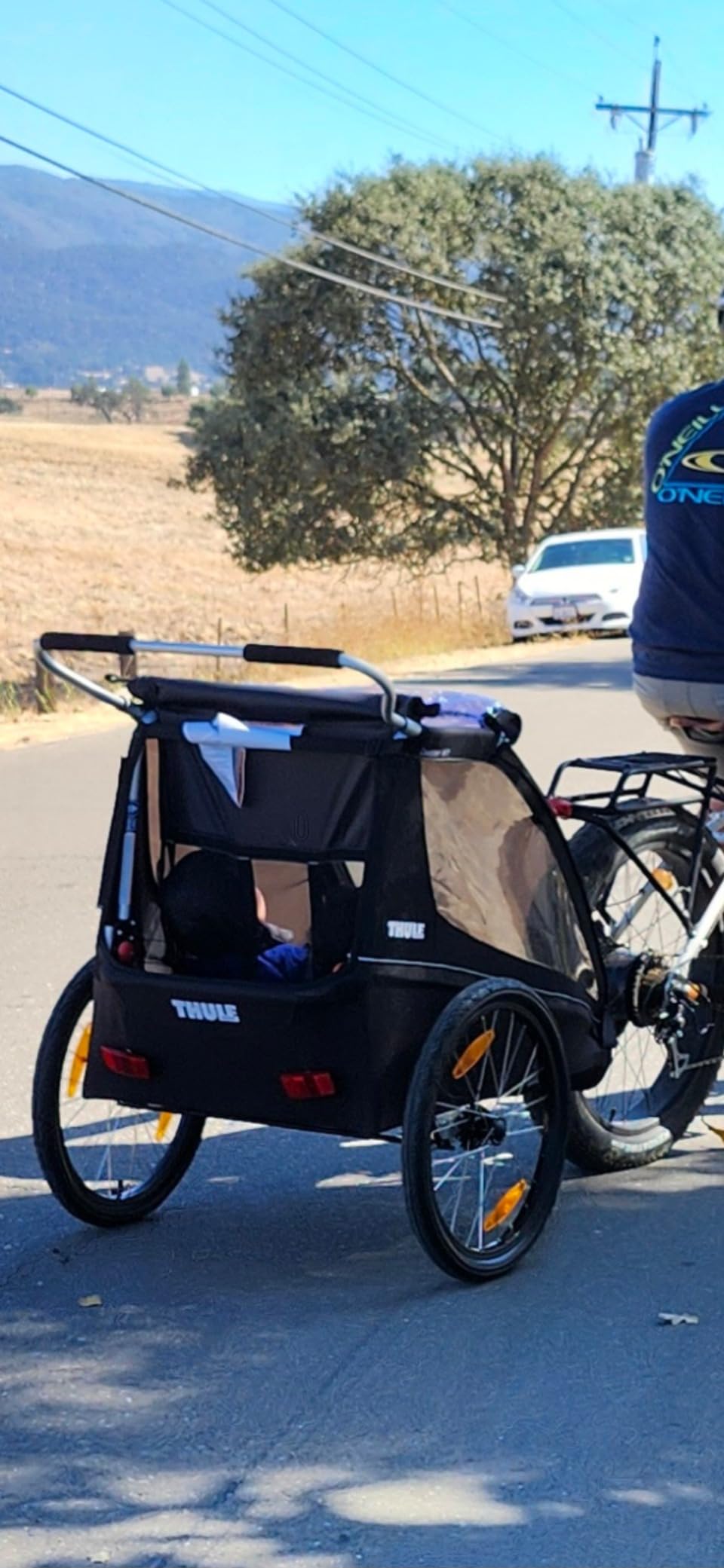 Thule Coaster XT 2-Seat Bicycle Trailer & Stroller customer photo 2