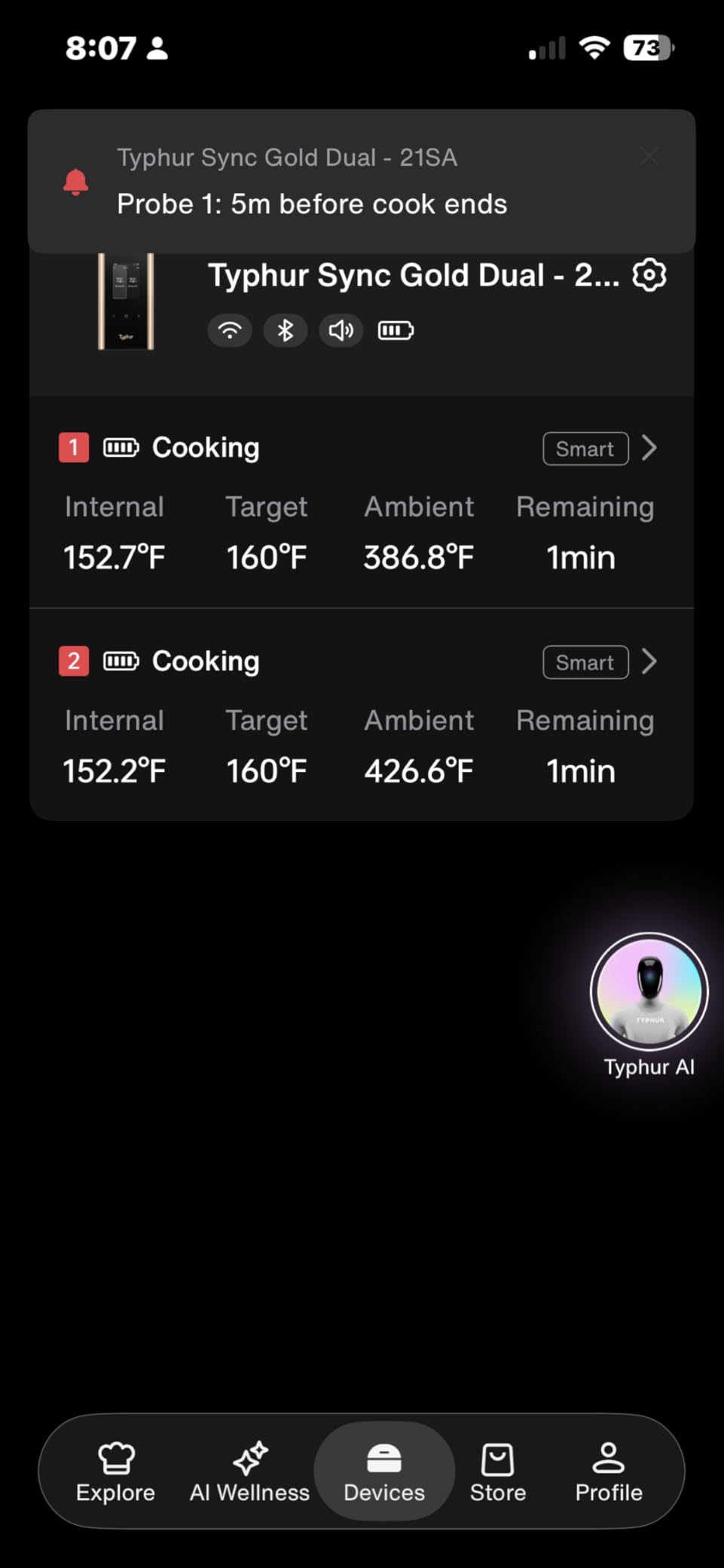Typhur Sync Gold Dual Wireless WiFi Meat Thermometer with Carrying Case customer photo 1