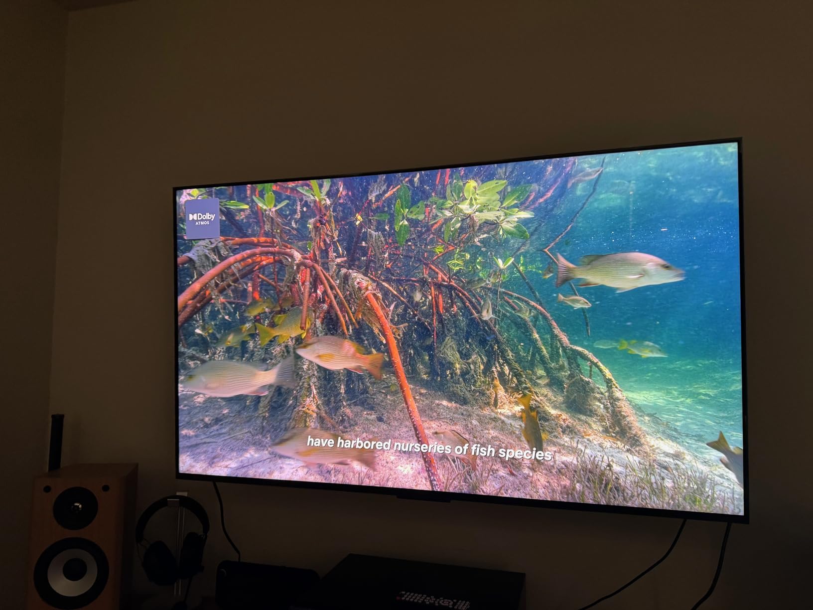 TCL 55-inch QM7L customer photo 1