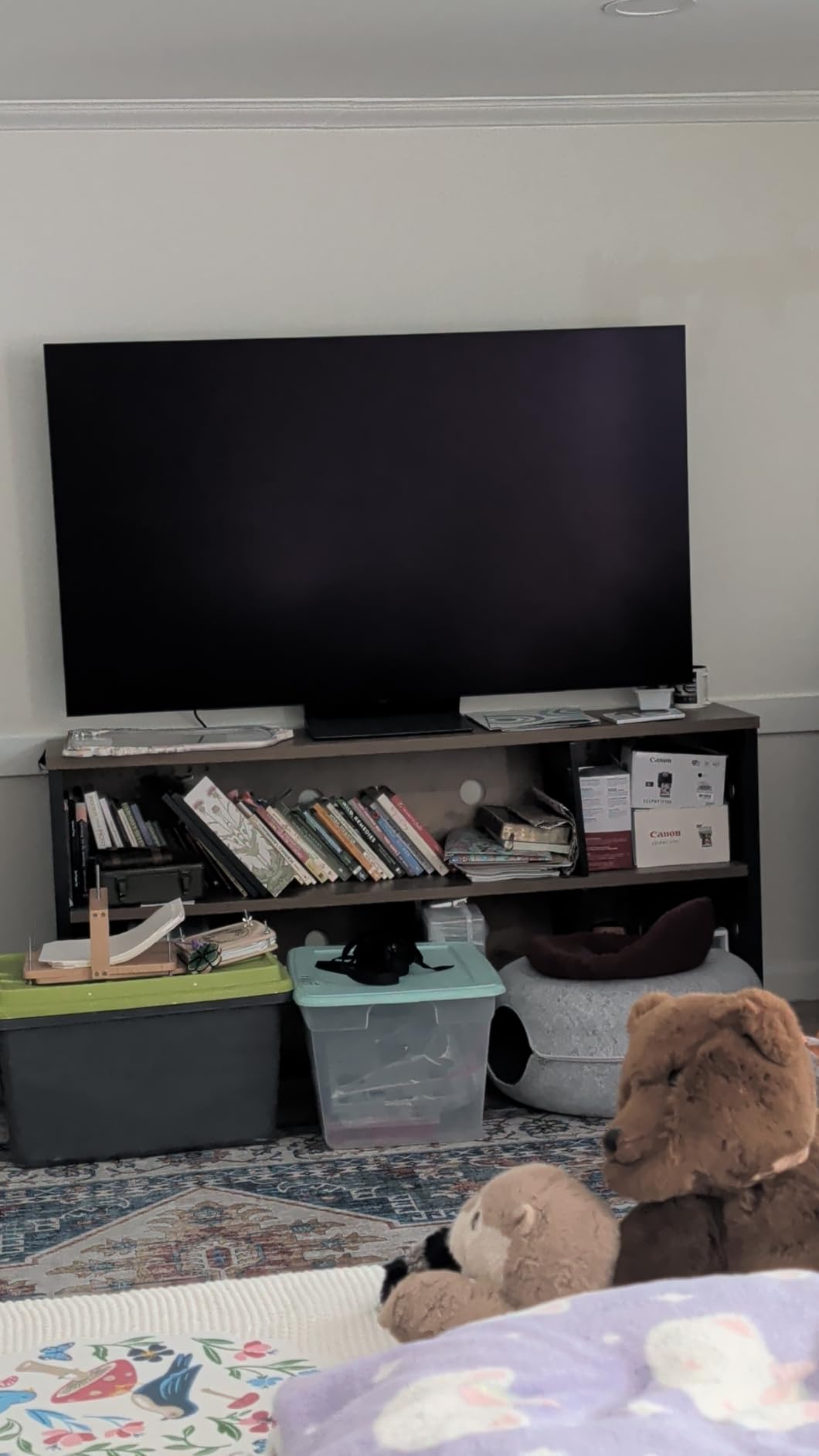 Samsung S90H OLED customer photo 2