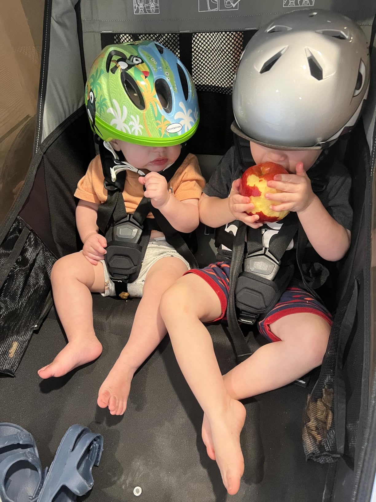 Thule Chariot Lite Multisport Trailer & Stroller customer photo 1