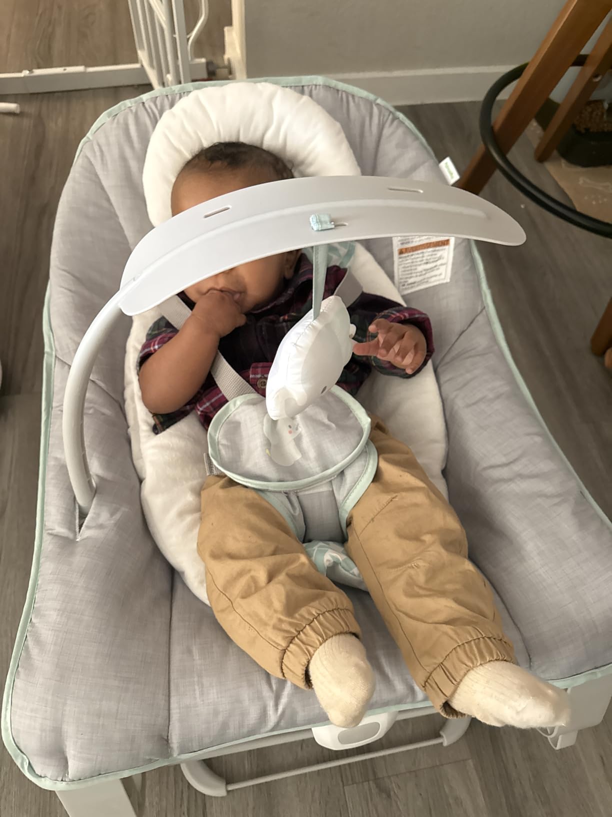 Ingenuity Keep Cozy 3-in-1 Vibrating Bouncer Rocker, Green customer photo 1