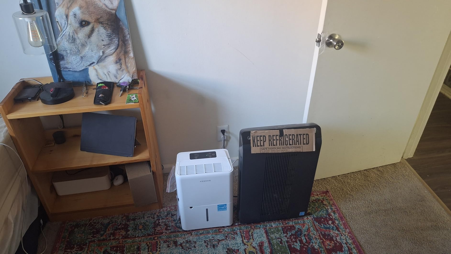 Kesnos 150 Pint Dehumidifier for Basement with Drain Hose, 7,500 Sq. Ft. customer photo 1