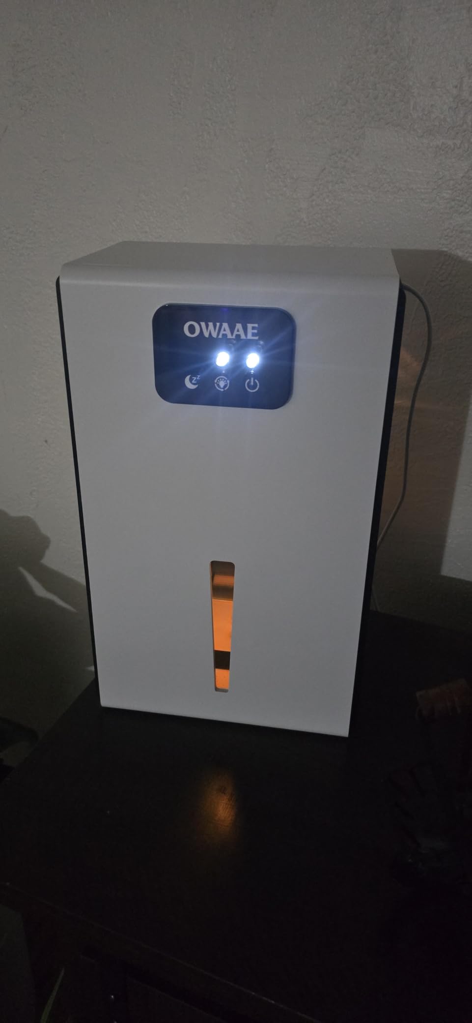 Dehumidifier for Home with Auto Shutoff Sleep Mode, 1000 Sq Ft customer photo 1