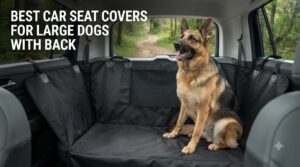 best car seat covers for large dogs with back
