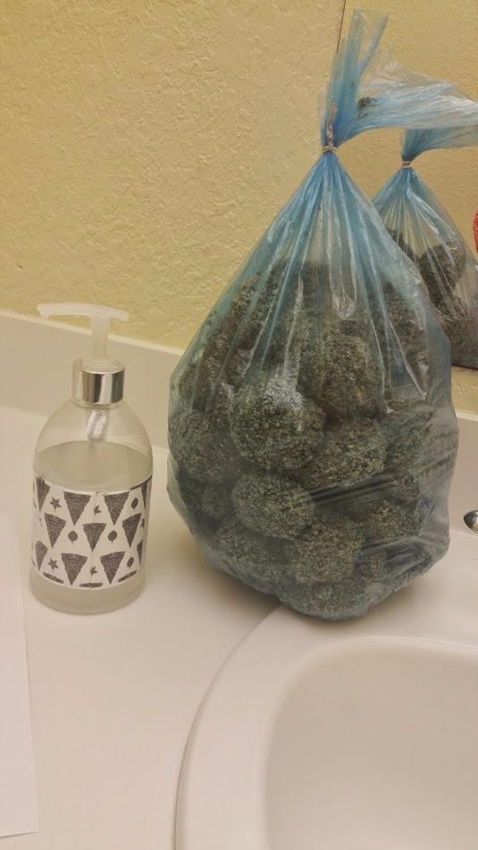 Dr. Elsey's Cat Litter customer photo 2