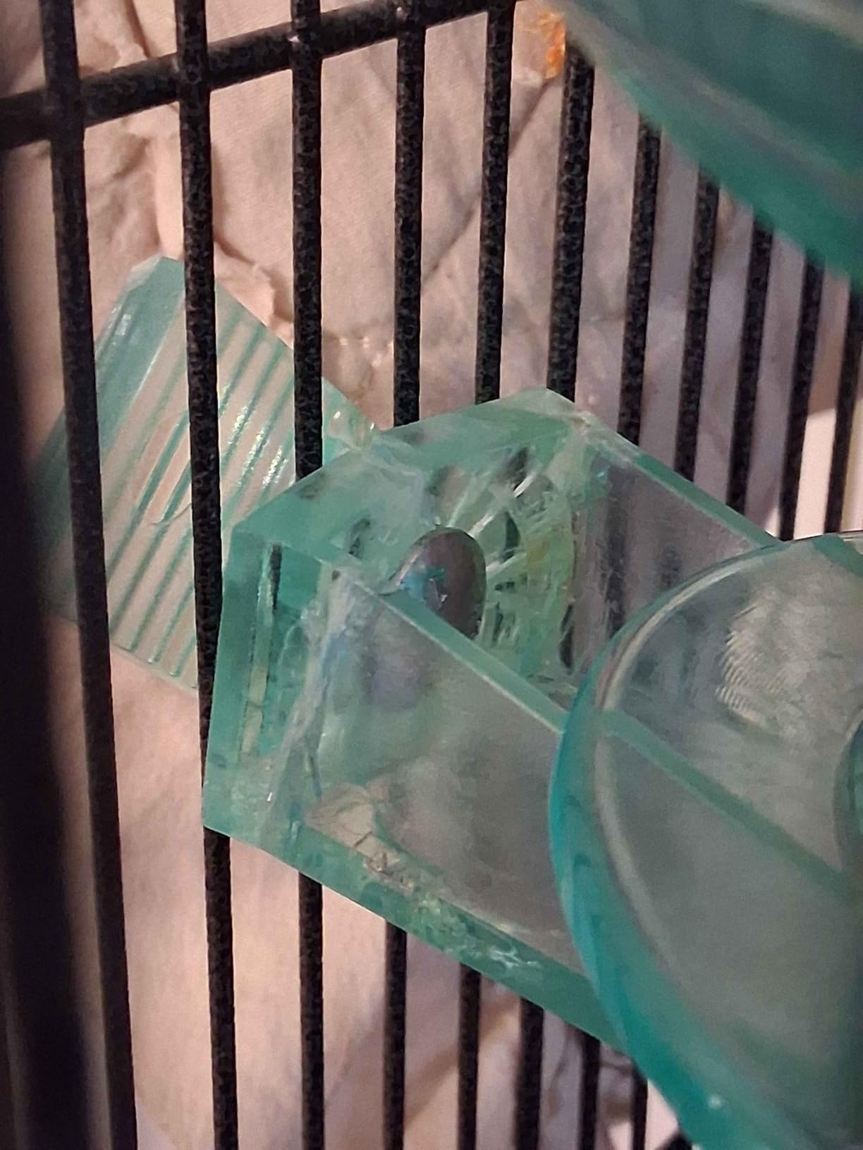 Lixit Quick Lock Bird Cage Bath for Lovebirds, Canaries, Finches, Parakeets, and Cockatiels and Other Small to Medium Feathered Friends (Pack of 1) customer photo 2