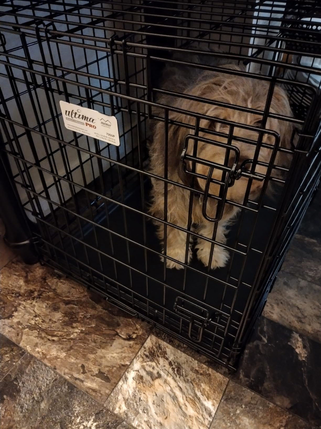 Ultima Pro by Midwest 30-Inch Double Door Dog Crate, 21-40 lbs customer photo 1