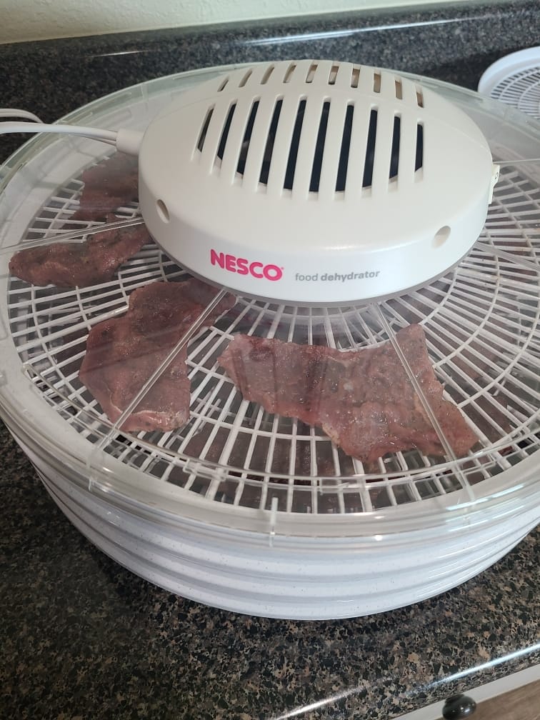 NESCO FD-37 Food Dehydrator, For Snacks, Fruit, Beef Jerky,White/Clear, 4 Trays customer photo 1
