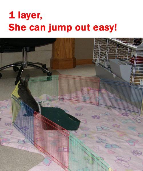 Prevue Pet Products Multi-Color Small Pet Playpen - Multi-Color customer photo 2