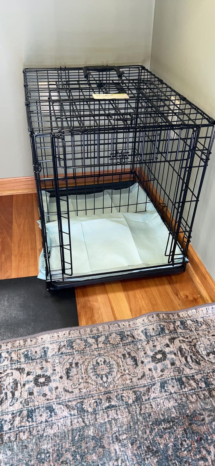 MidWest Homes for Pets Intermediate Ovation Single Door Folding Dog Crate, 36-Inches, Space-Saving Patented Up & Away Door, Leak-Proof Pan, Divider Panel, Black customer photo 1