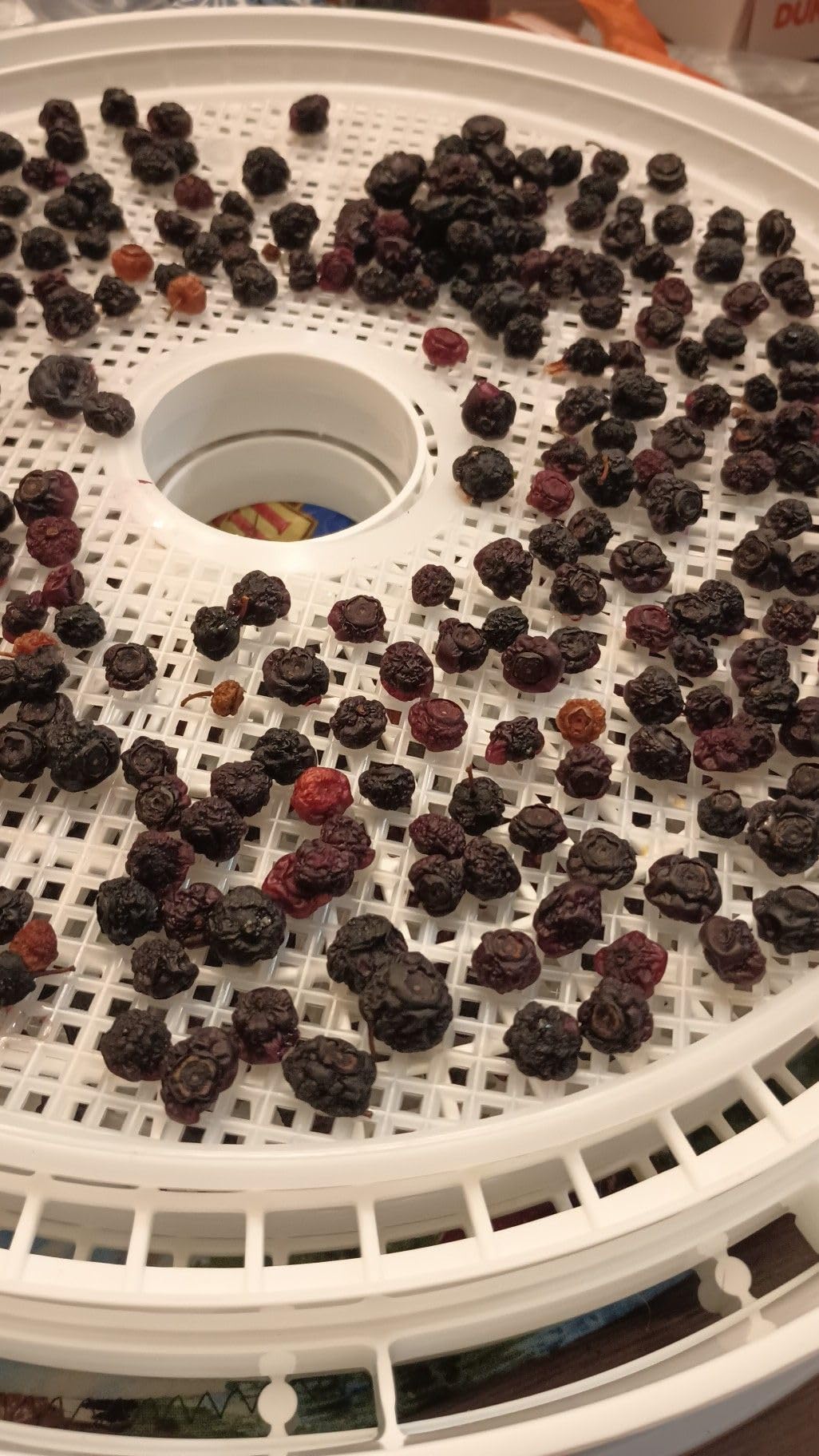 Presto 06300 Dehydro Electric Food Dehydrator customer photo 1