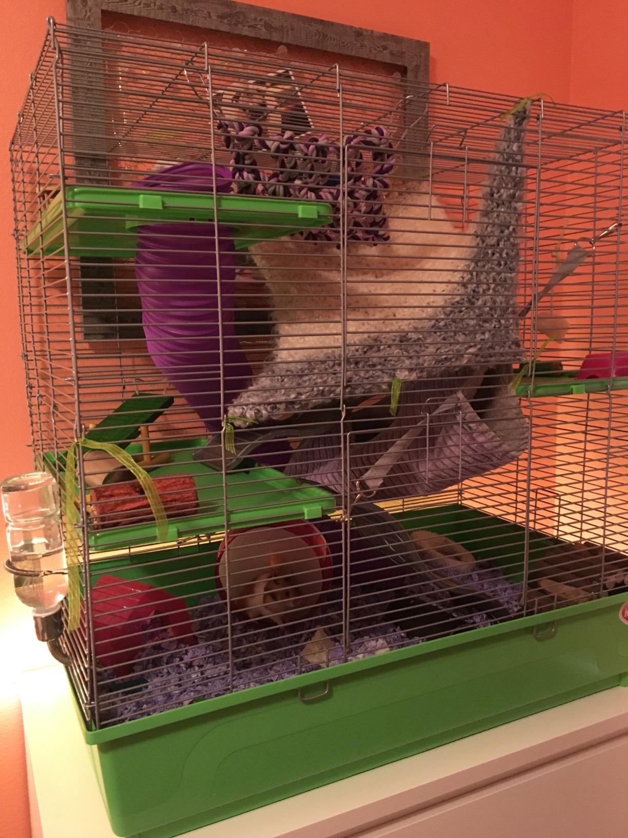 Kaytee My First Home Multi-Level Exotics Habitat for Pet Chinchillas, Rats, Degus, Sugar Gliders and Other Exotic Small Animals customer photo 1