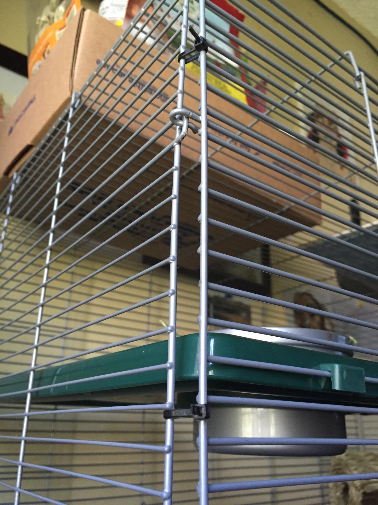 Kaytee My First Home Multi-Level Exotics Habitat for Pet Chinchillas, Rats, Degus, Sugar Gliders and Other Exotic Small Animals customer photo 2