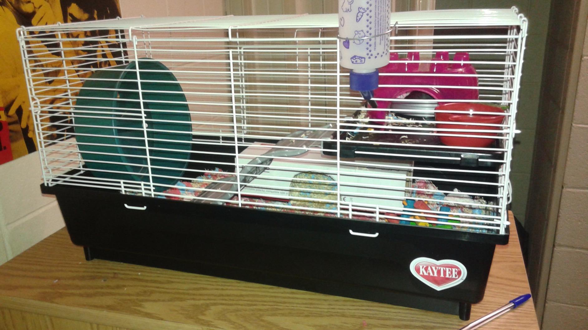 Kaytee My First Home Habitat for Pet Rats customer photo 2