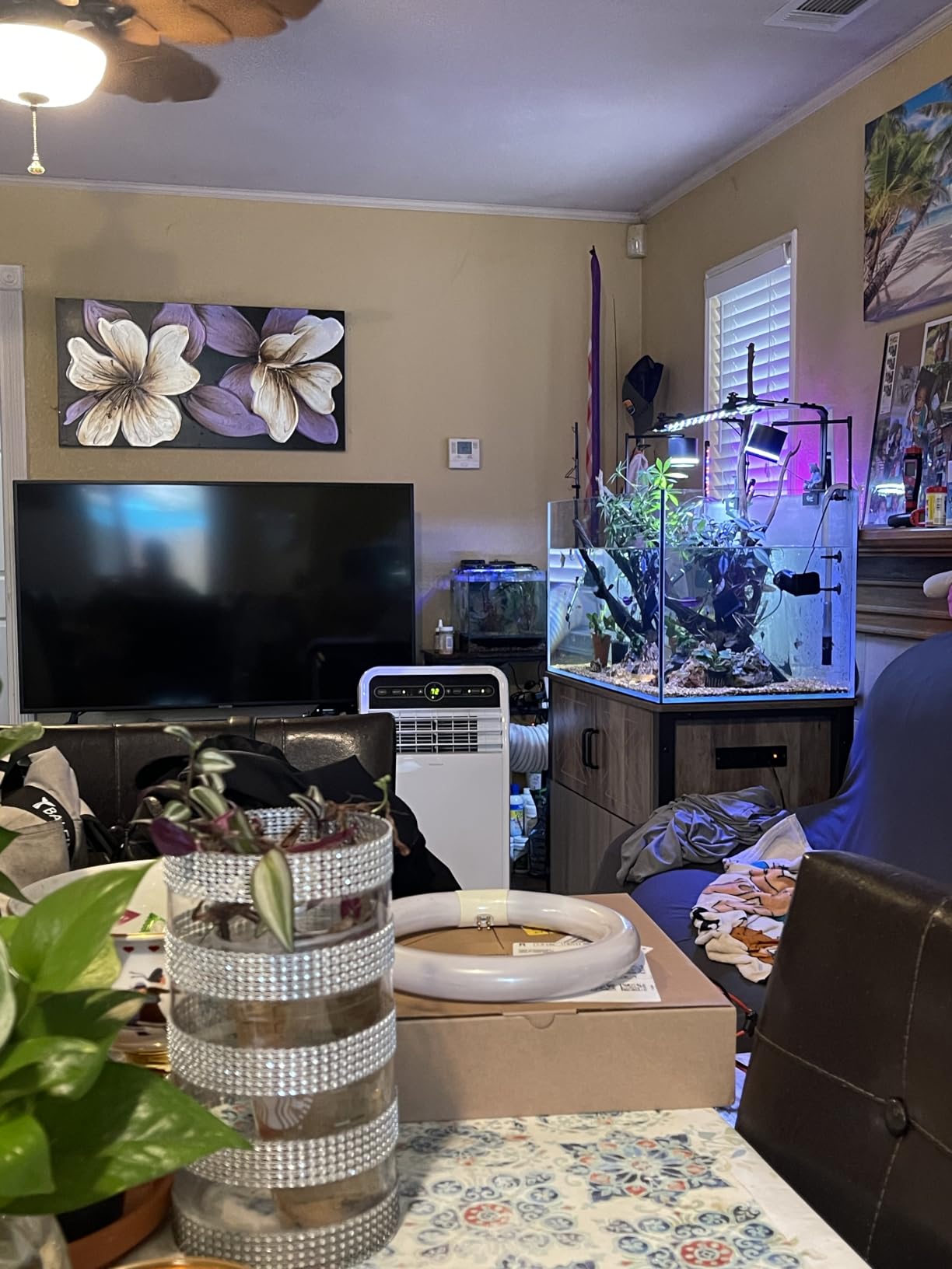LANDEN Aquarium 60H 30 Gallon Ultra Clear Glass Rimless Fish Tank customer photo 1