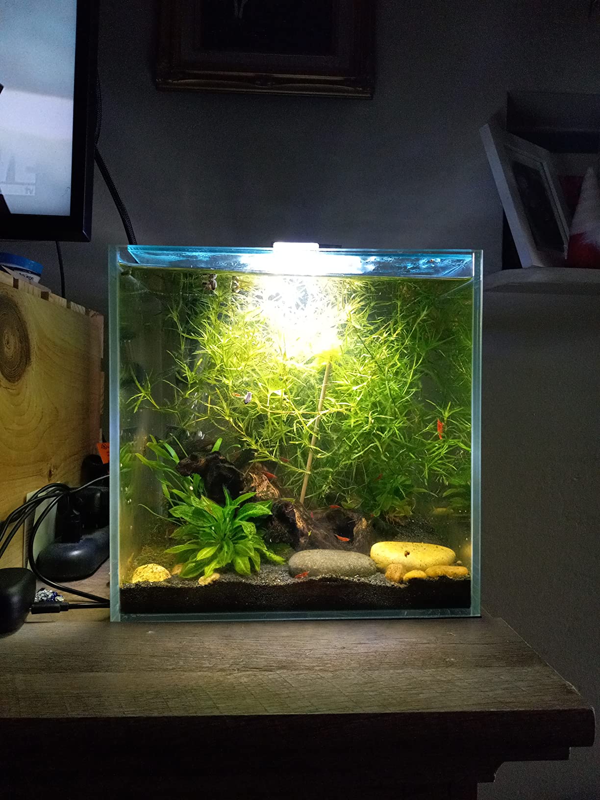 Aquatop High Clarity Low Iron Glass Cube Aquarium - Up to 11.3 Gallons - High-Grade German Silicone - Ideal for Salt and Freshwater Aquariums customer photo 2