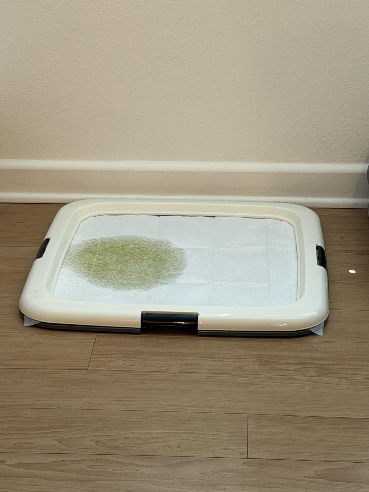 Amazon Basics Pee Pads customer photo 1