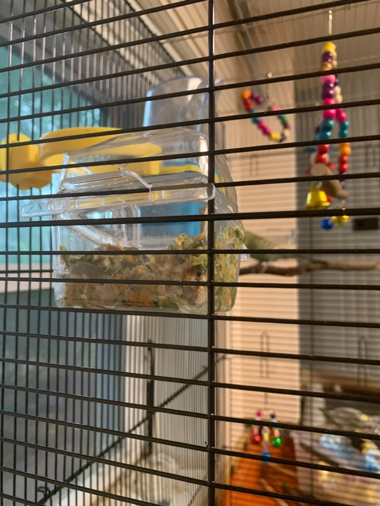 Prevue Pet Products Flight Cage Ideal for Small Birds - L, Brown & Black customer photo 2
