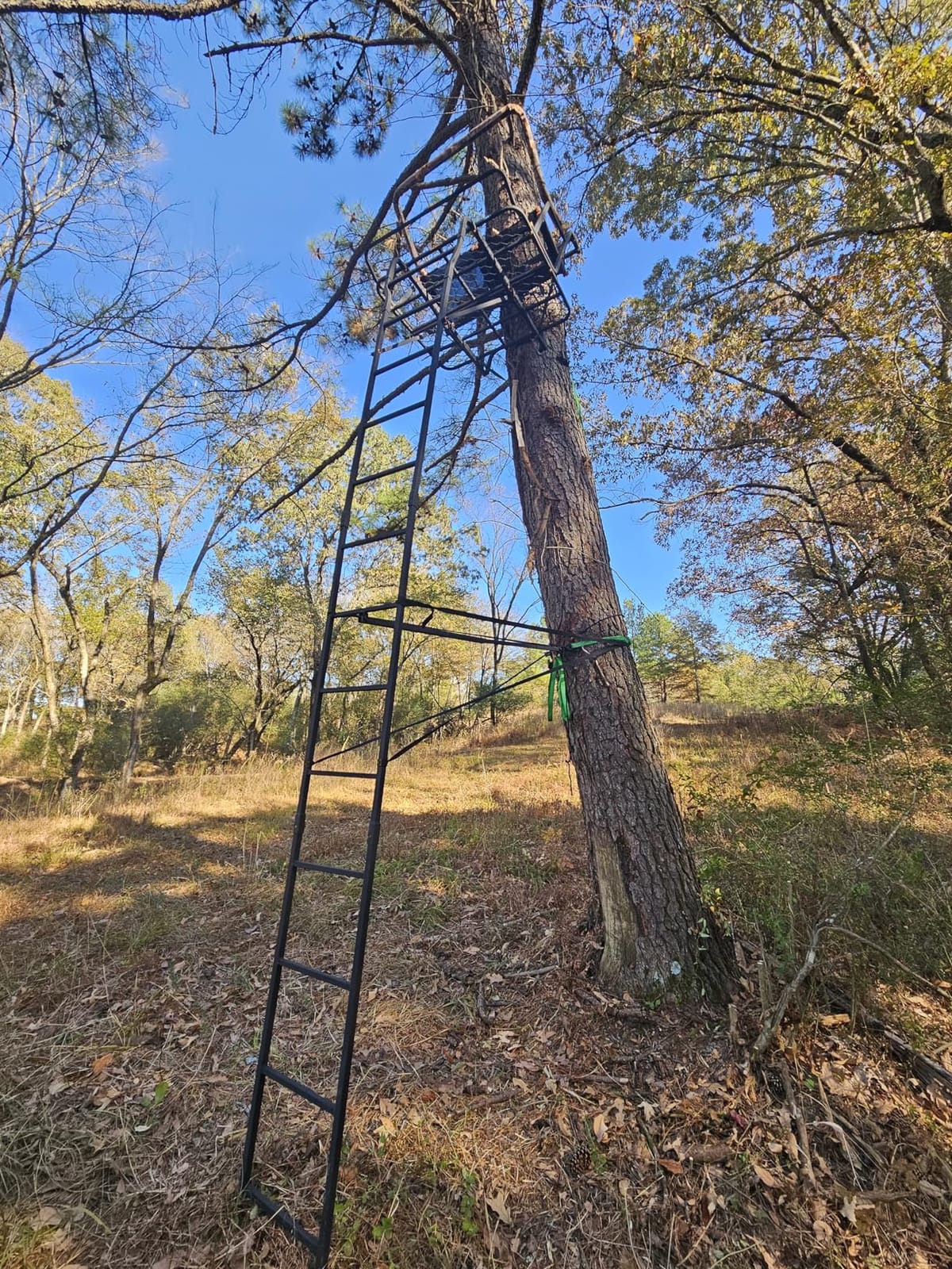 Muddy 2 Person Outdoor Hunting Climbing Ladder, Tree Stand with Flex-Tek Seat, 500 Pound Maximum Capacity customer photo 2