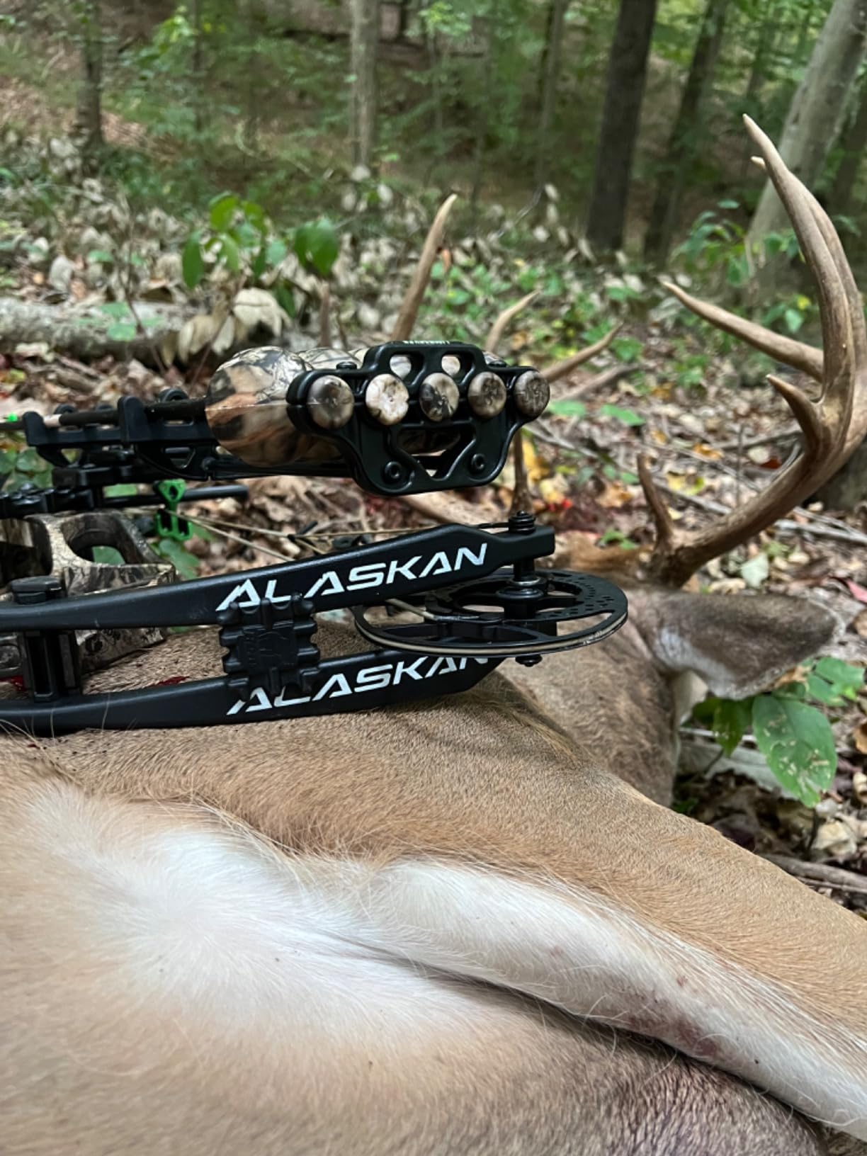 LimbSaver Silent Quiver for Bow Hunting, One Piece, Lightweight and Low Profile, Works with Right and Left-Handed Bows, Fits All Arrow Sizes customer photo 2