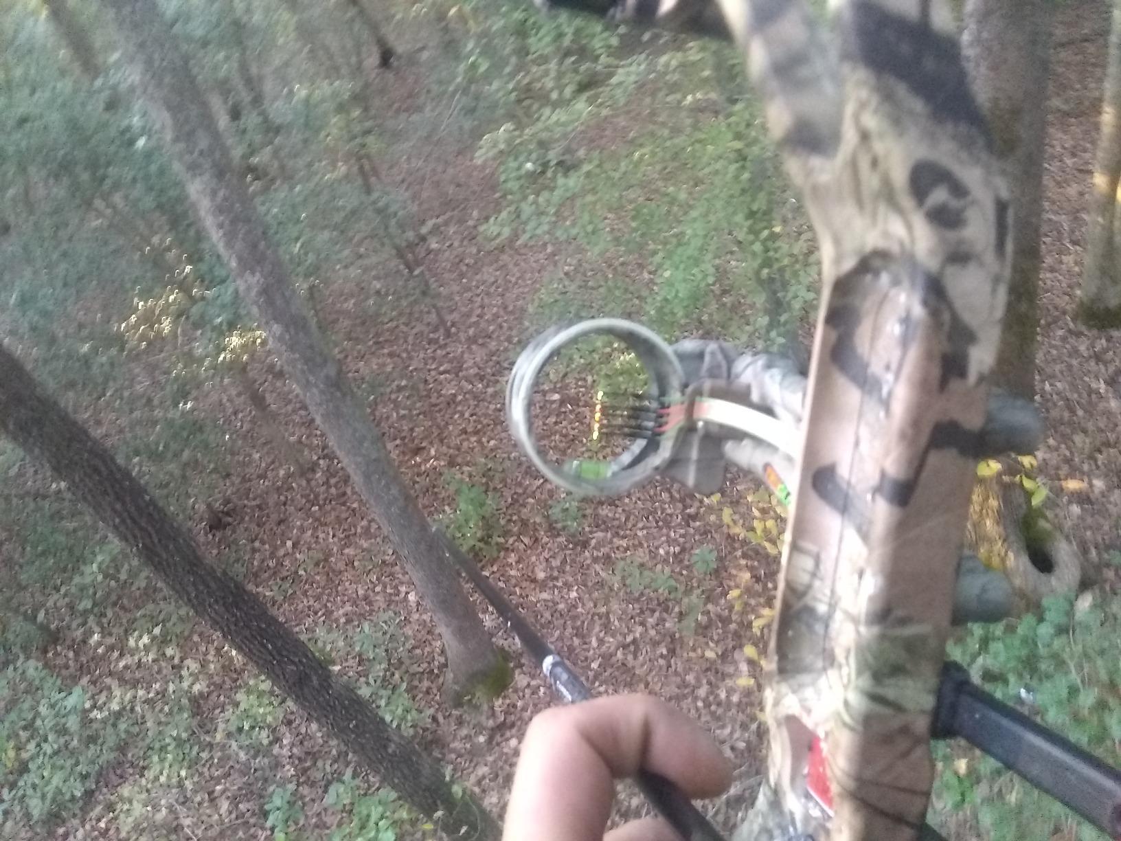 Truglo 5-Pin Carbon Xtreme Archery Sight, Black customer photo 1