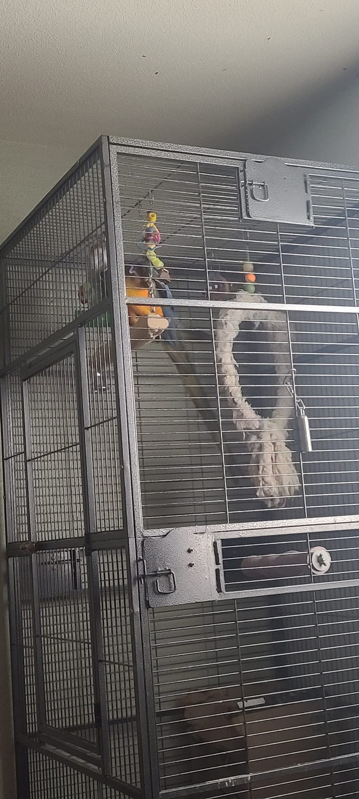 XXL Large Bird Flight Cage Parrot Aviary H80xw35.5xd35.5 customer photo 1