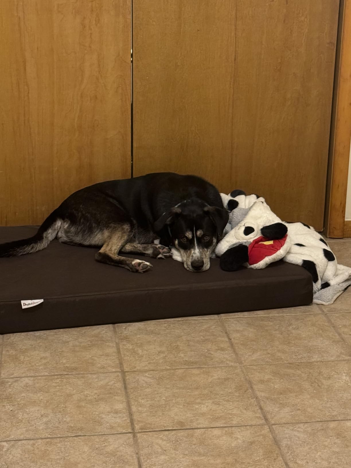 Dogbed4less XL Orthopedic Gel Cooling Memory Foam Dog Bed for Large Pet, Waterproof Liner and 1680 Nylon Brown External Cover, 47X29X4 Inches (Fit 48X30 Crate) customer photo 2