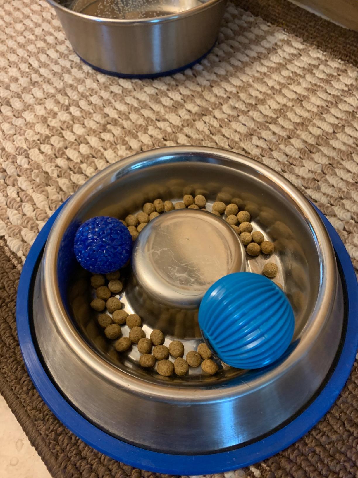 Mr. Peanut's Stainless Steel Interactive Slow Feed Dog Bowl with a Blue Silicone Base, Fun Healthy Bloat Stop Feeder (Medium) customer photo 2