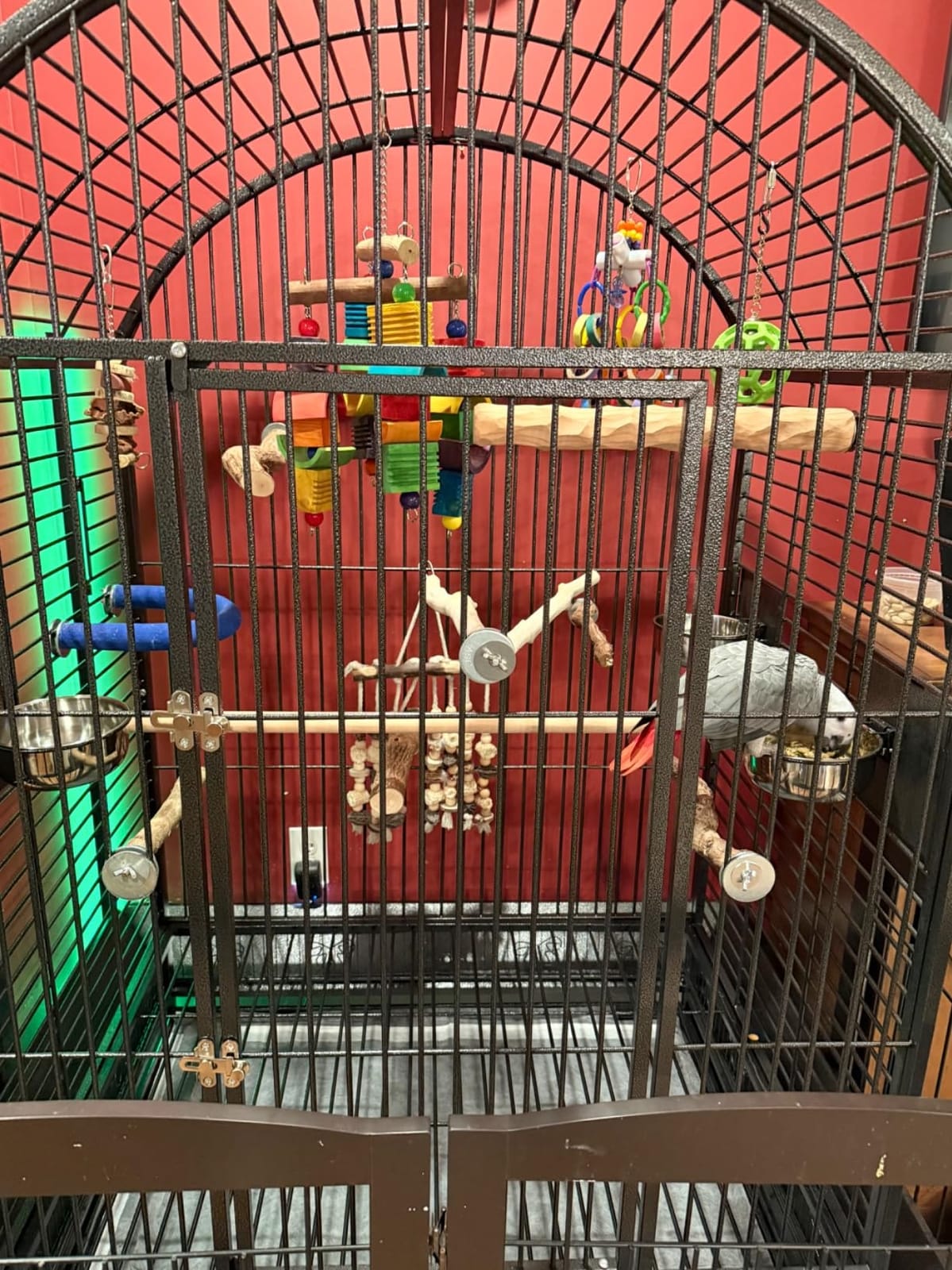 XX Large DomeTop Wrought Iron Bird Parrot Cage, 40