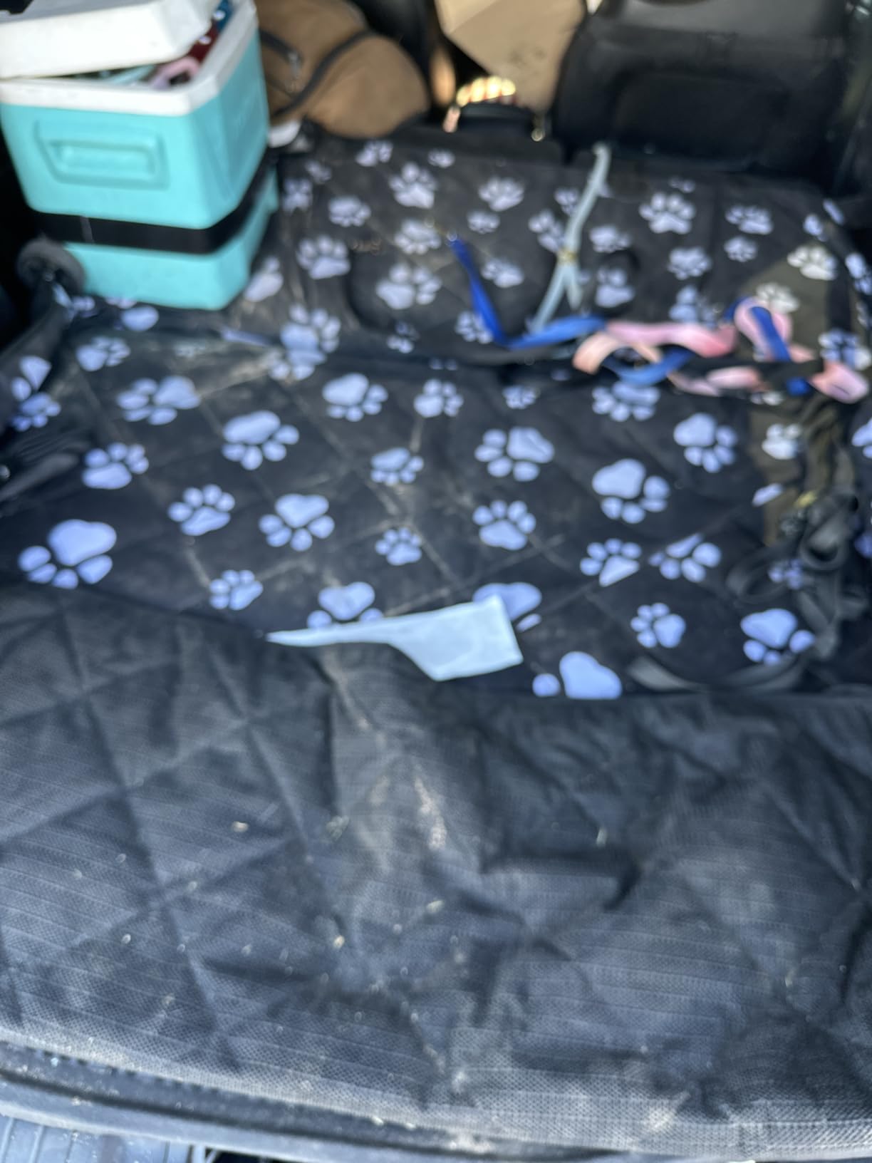 F-color SUV Cargo Liner for Dogs - Trunk Cover with Bumper Flap Protector customer photo 2