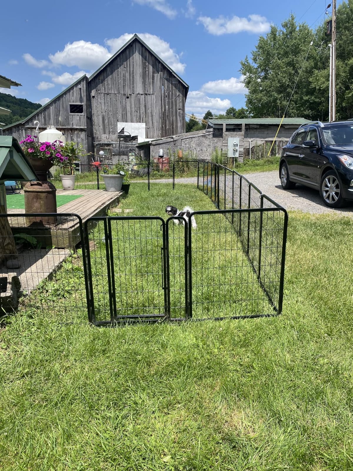 Yaheetech Dog Playpen 40in 8 Panels Portable Fence for Indoor Yard Camping customer photo 2