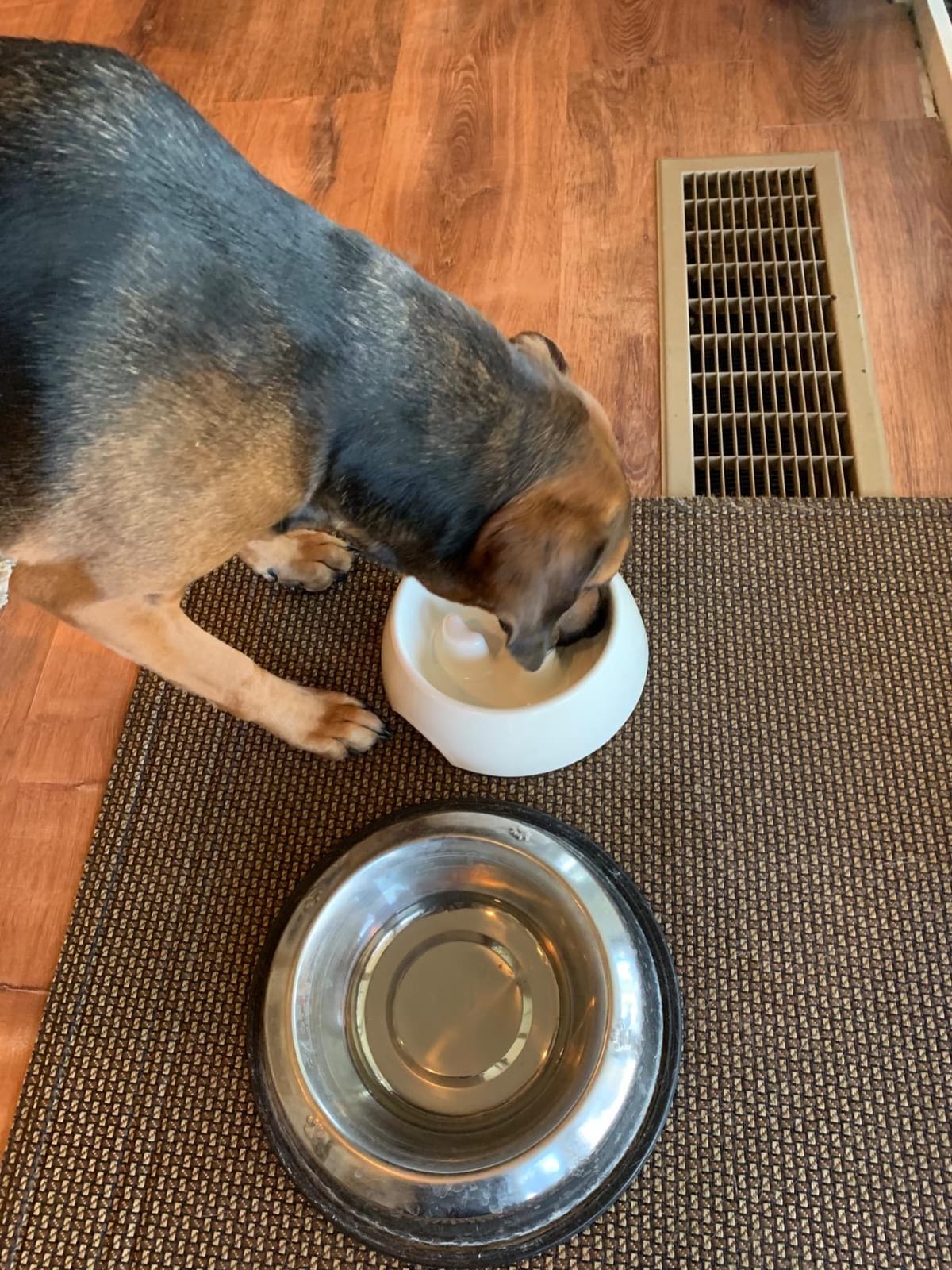 SUPERDESIGN Slow Feeder Dog Bowl Cat Bowl 1/2 Cup Slow Feeding Dog Bowl for Small Medium Breed Anti Gulping Healthy Eating Interactive Bloat Stop Fun Alternative Non Slip Puzzle Dog Food Bowl, White customer photo 1