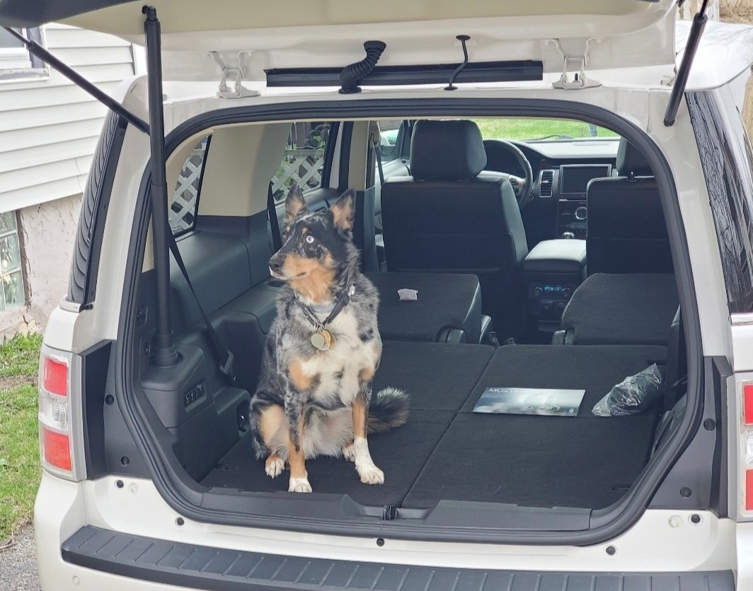 SUV Cargo Liner for Dogs, Waterproof Dog Cargo Cover with Bumper Flap Protection Durable Toyota Rav4 Trunk Mat for Pets Keep Your Vehicle Trunk Clean Universal Fit SUV Car Seat Cover customer photo 2