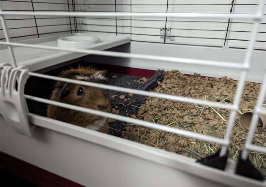 Midwest Homes for Pets Deluxe Rabbit & Guinea Pig Cage, X-Large, White & Red customer photo 2