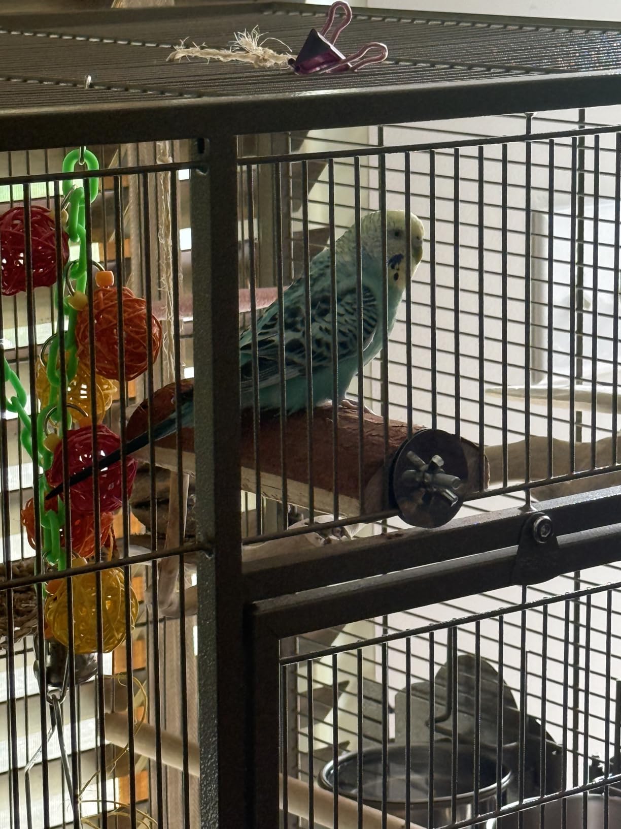 Niteangel Parrot Cage Perch, Wooden Platform for Birds (2 Packs) customer photo 2