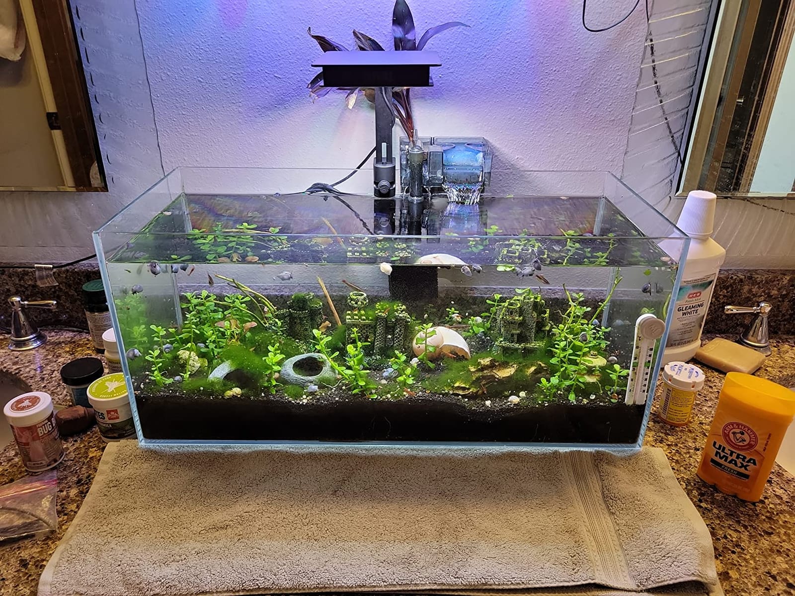 Fluval SEA Marine Nano LED Aquarium Lighting with Bluetooth, 20 Watts,Glass customer photo 2