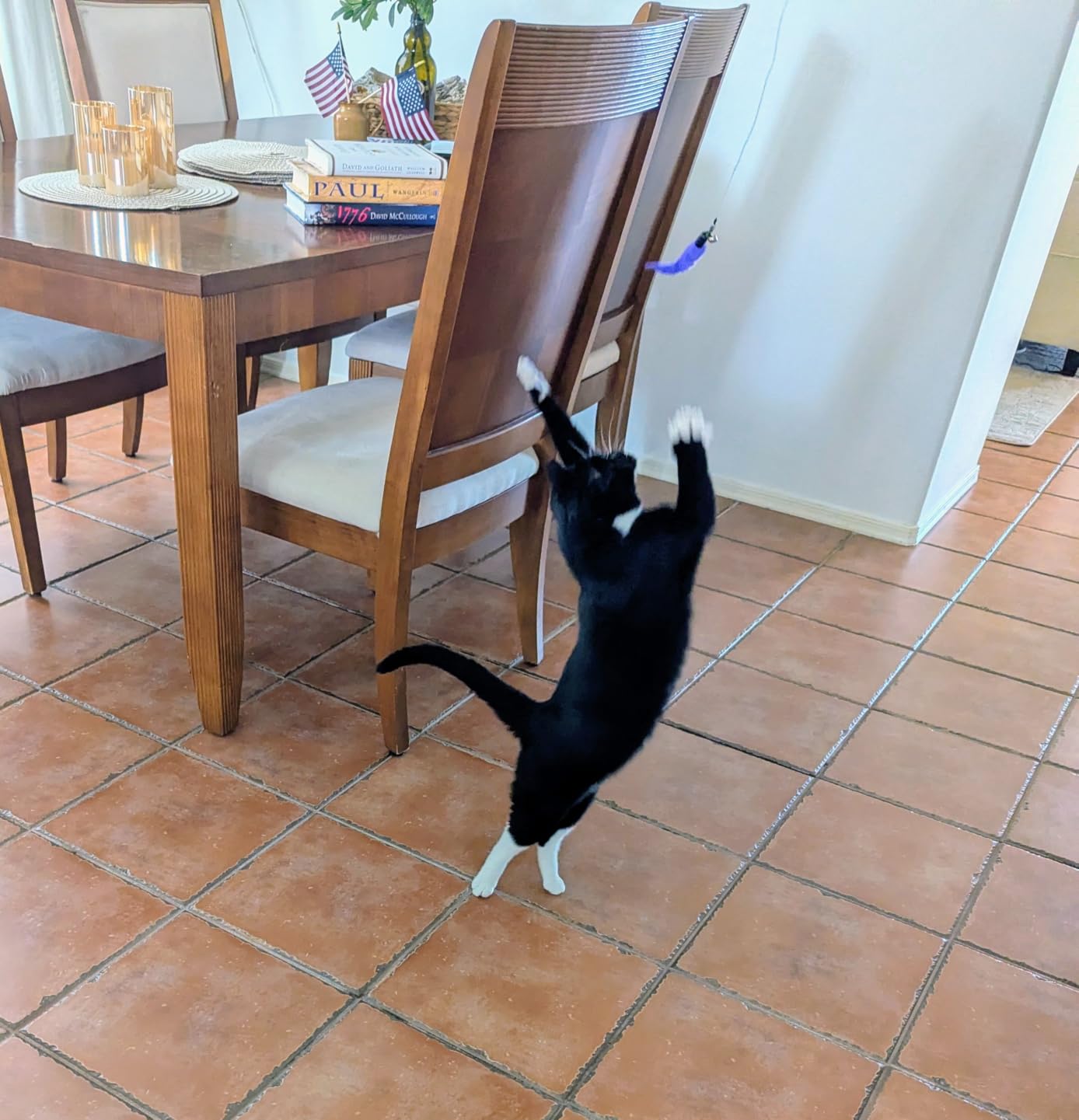 MeoHui Cat Wand Set customer photo 1