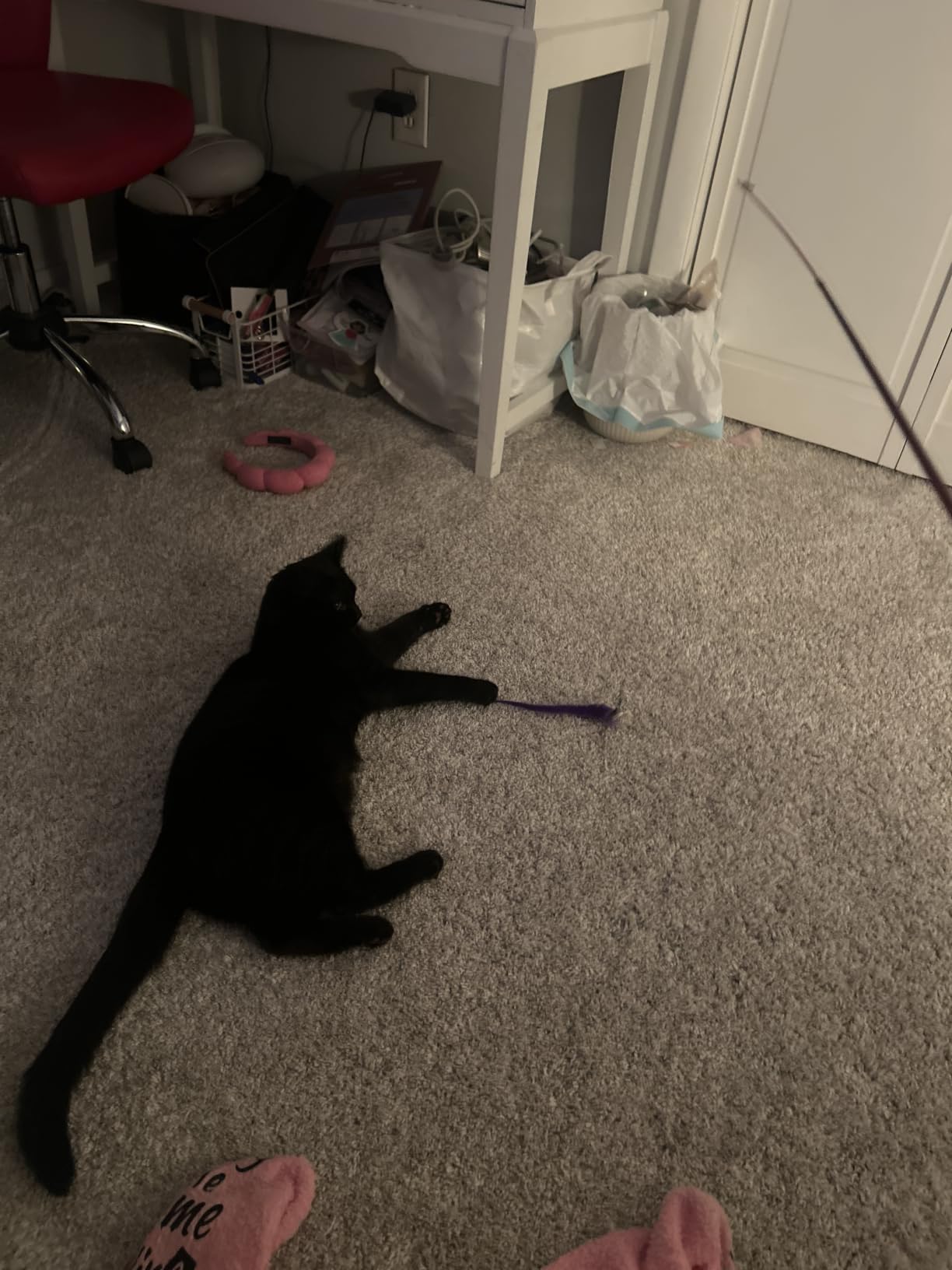 MeoHui Cat Wand Set customer photo 2