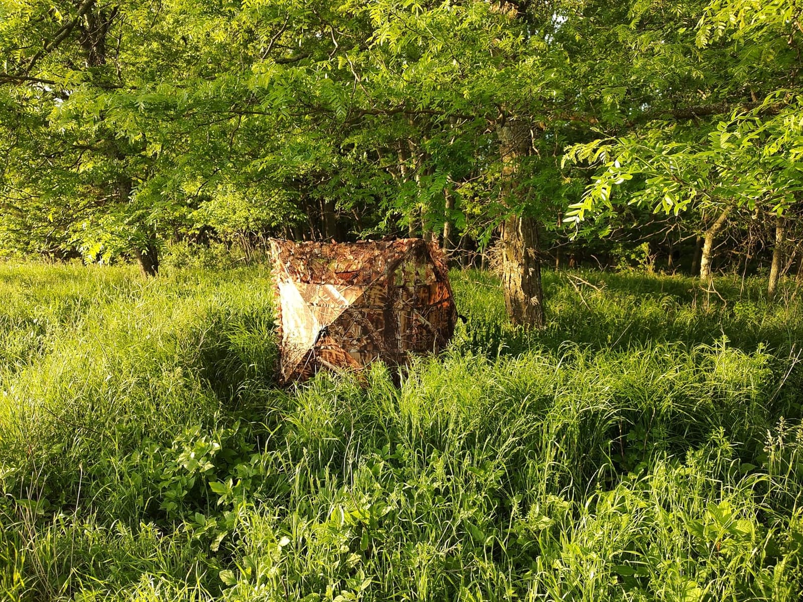 AUSCAMOTEK Pop Up Ground Blind for Deer Duck Turkey Hunting Portable Quick Setup Lightweight Green/Brown/Dry Grass Ground Peg Included customer photo 1