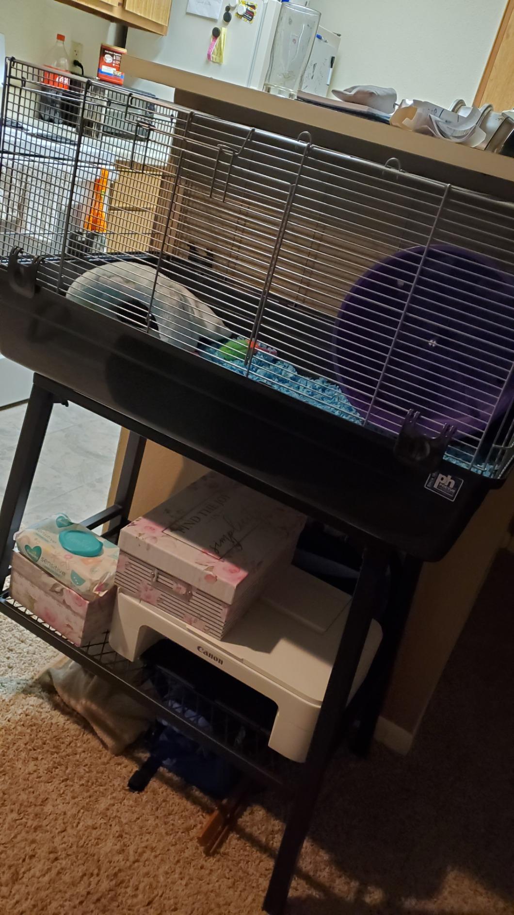 Exotic Nutrition Hedgehog Home & Starter Package - Includes Durable Cage, Exercise Wheel, Healthy Food, Natural Treat, Multi-Vitamin & Hideout customer photo 1