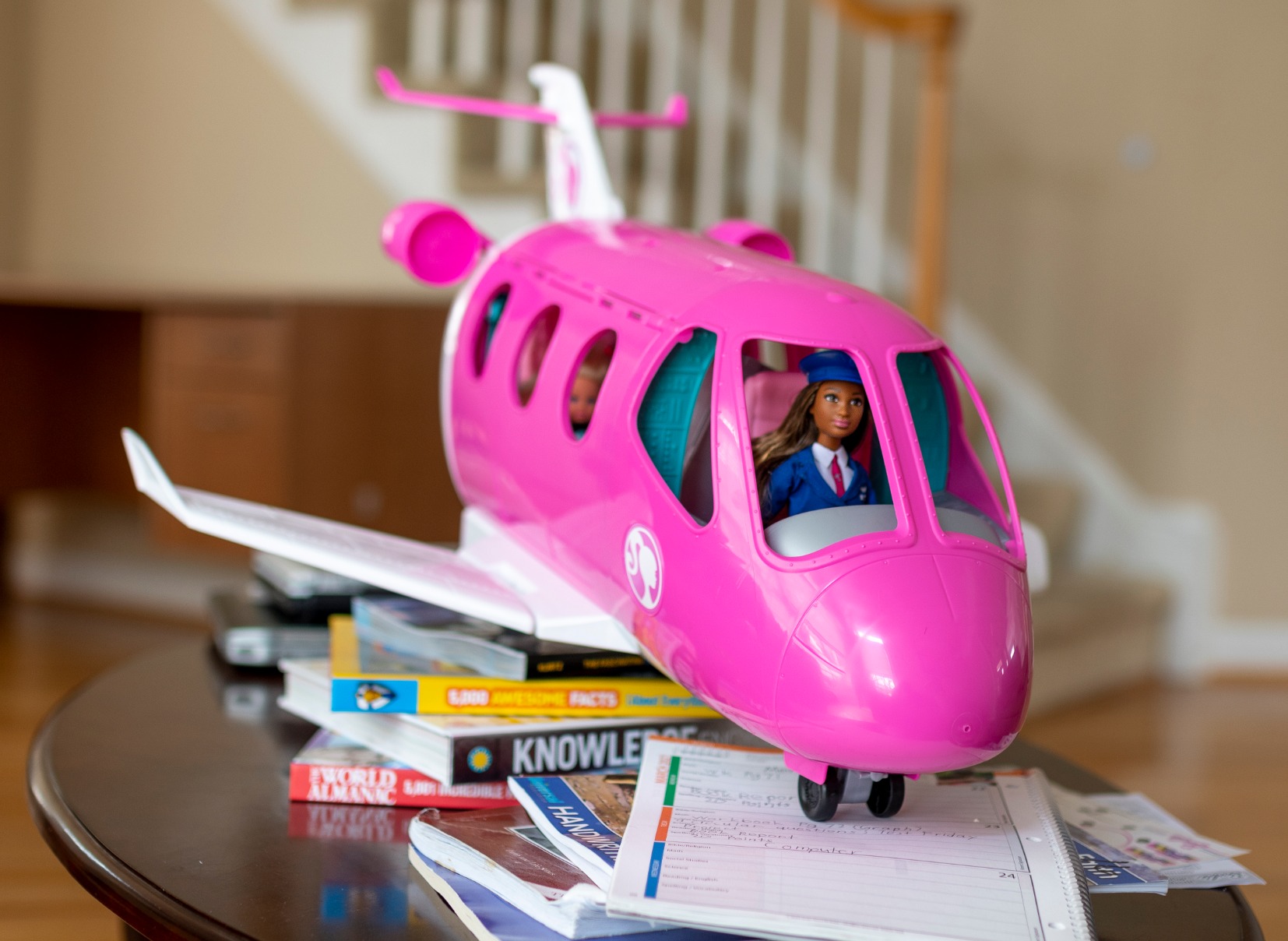 Barbie Dreamplane Airplane Toys Playset customer photo 2