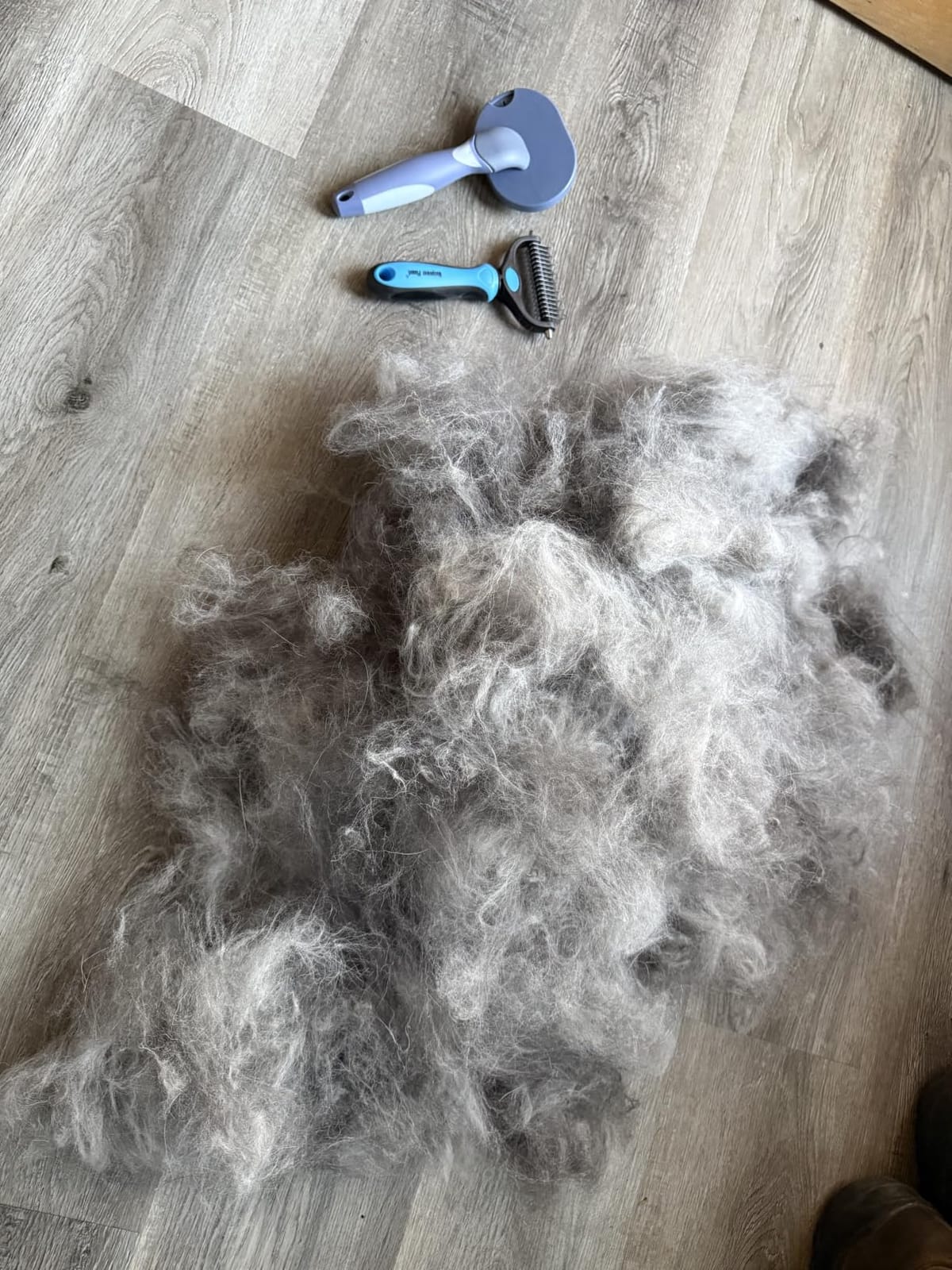 Maxpower Planet Dog Grooming Rake, Deshedding Undercoat Brush, Dogs & Cats customer photo 1