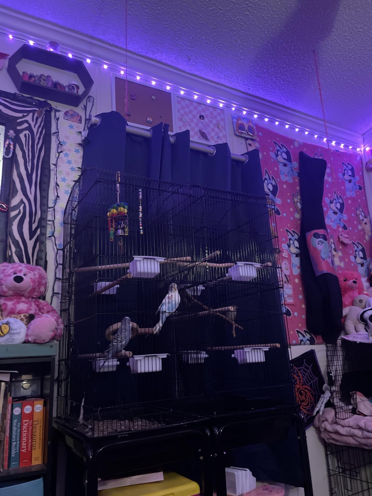 SUPER DEAL 63 Rolling Bird Cage Large Wrought Iron Cage for Cockatiel Sun Conure Parakeet Finch Budgie Lovebird Canary Medium Pet House with Rolling Stand & Storage Shelf customer photo 1