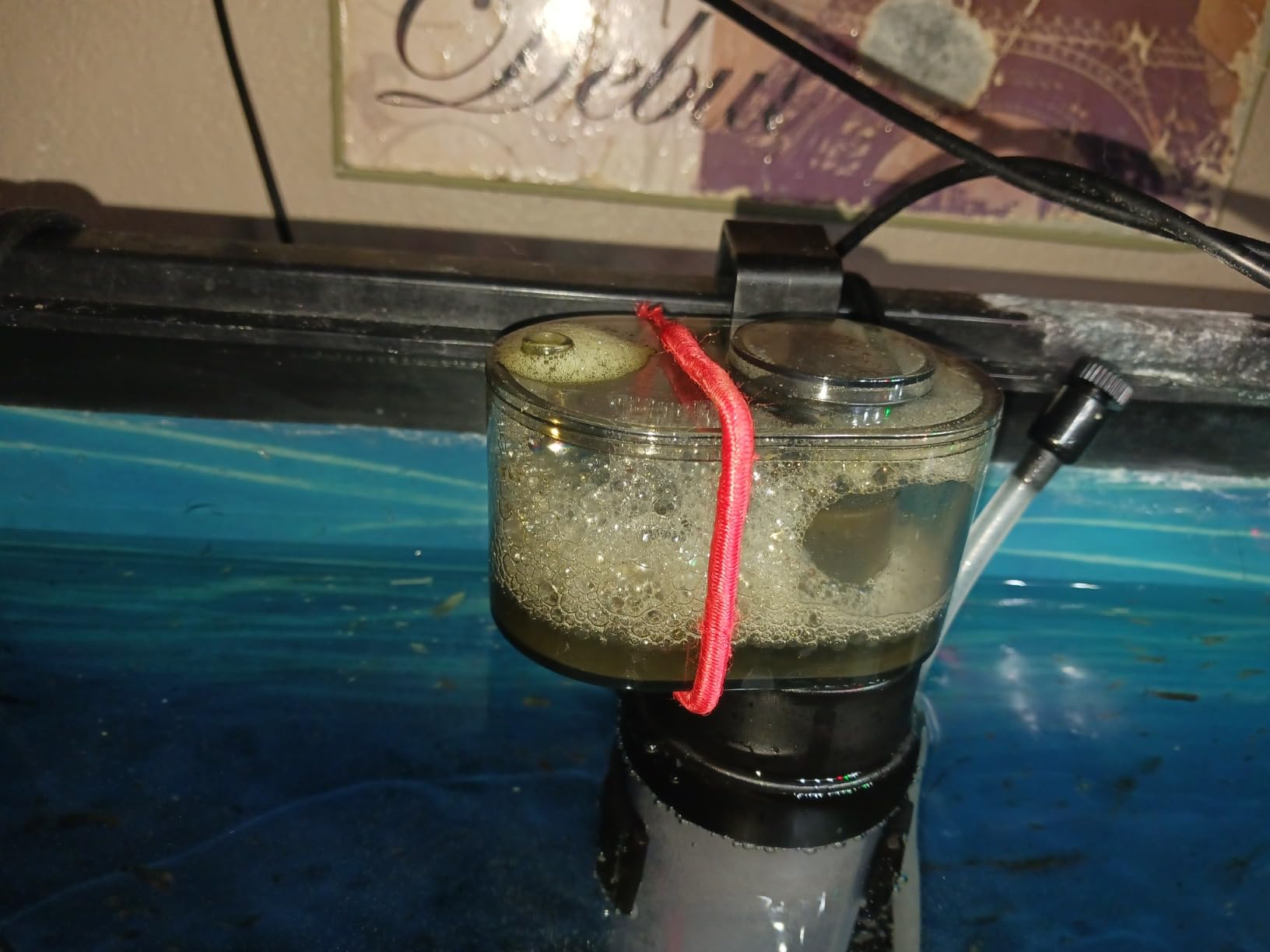 Coralife Biocube Protein Skimmer, Aquarium Skimmer customer photo 1