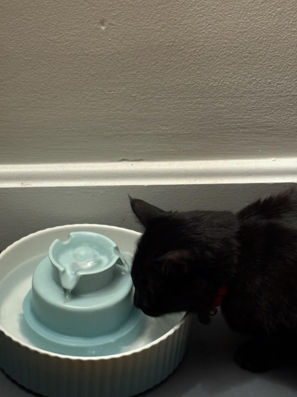 Ceramic Cat Water Fountain, Pet Ceramic Water Fountain Dispenser, 2.1 L Drinking Fountains Bowl for Cats and Dogs with Replacement Filters and Foam(White) customer photo 2