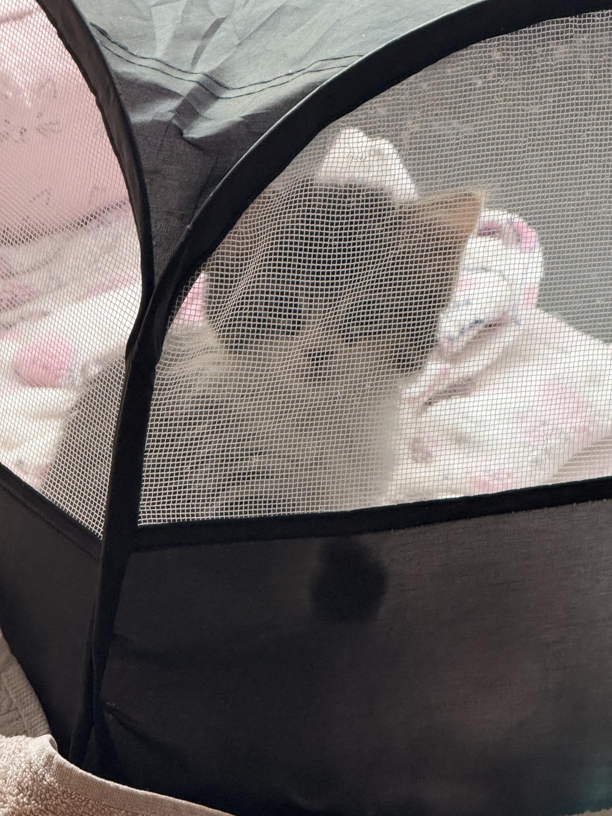 Amakunft Small Animal Pop-Up Playpen with Mesh Cover, 47'' x 23.6'' x 15'' Chicken Brooder Box, Play Pen Indoor Outdoor for Guinea Pigs, Bunny, Rabbits, Ferrets, Chinchillas, Kittens customer photo 1