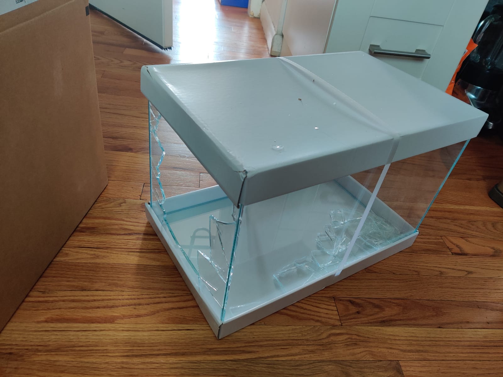 Rimless Low-Iron Glass Aquarium, 7.1 Gal, 11.8 × 11.8 × 11.8 in customer photo 1